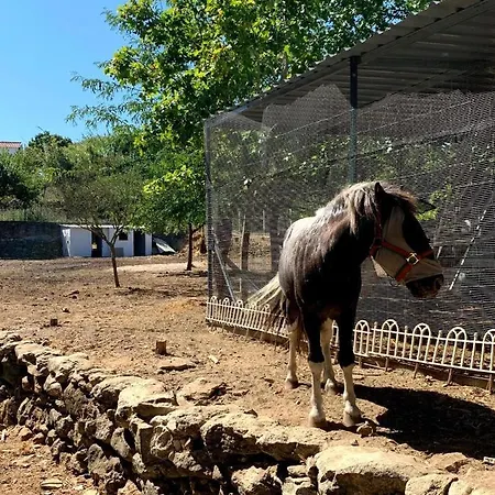Πανσιόν Quinta Do Vale - Natureza, Piscina E Praia! Carvoeira